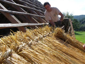 Traditional craftsmanship hay-thatching in Hungary (© Winehill Sheperd Organisation)