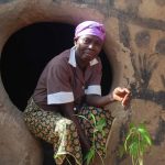 Tree Seedlings