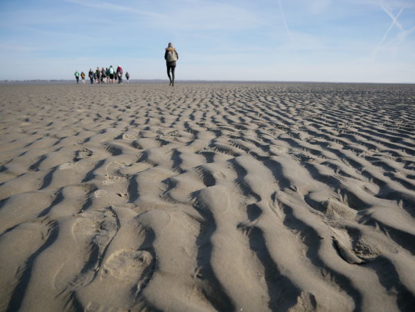 One Wadden Sea – One World Heritage